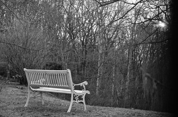 empty bench bench in the garden