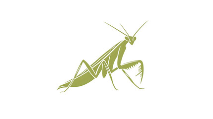 Insect Sketch Detailed Illustration of a Praying Pose with Long Antennae and Sharp Claws