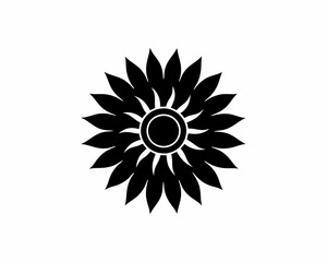 creative details Marigold Sun Icon vector illustration 