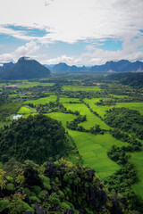 Rice Fields Viewpoint - Portrait View 