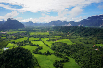 Rice Fields Panorama  - South East Asia, Laos 