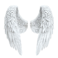 pair of elegant stylized white wings with intricate feather details symbolizing freedom spirituality or angelic themes the design is visually striking and can be used in various creative contexts