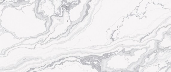 Obraz premium Dramatic Close-Up of Swirling Calacatta Marble Texture with Grey Veins and White Background