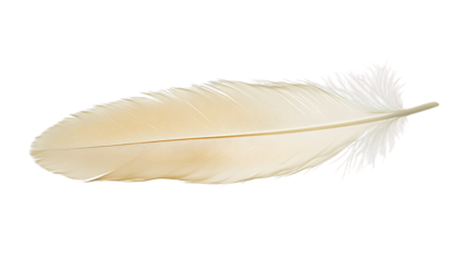 Pale Beige Feather on Transparent Background, PNG