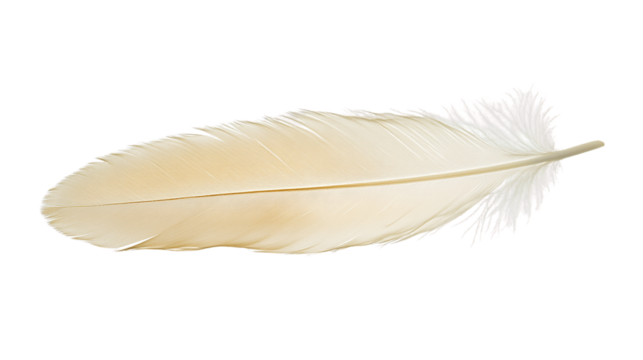 Pale Beige Feather on Transparent Background, PNG