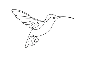Elegant Hummingbird Line Art Singletree Bird Drawing