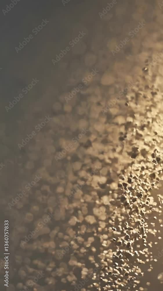Poster close-up video of particles floating in warm light, creating a dreamy, ethereal atmosphere. shot fro