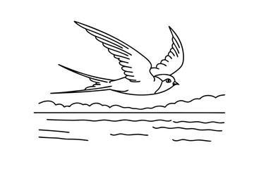 Elegant Swallow Bird Soaring Above Ocean Waves Line Art Drawing