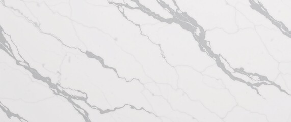 Obraz premium High-Resolution Classic Calacatta Marble Background with Bold Gray Veining