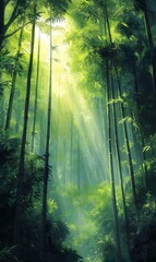 Obraz premium Lush Bamboo Forest Sunlight