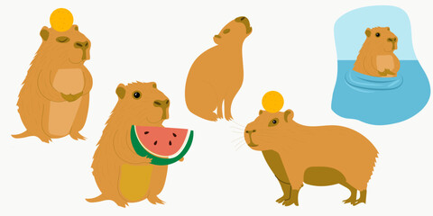 Adorable vector illustration of capybaras in a relaxing hot spring. capybara has closed eyes with an orange resting on its head, enjoying the warmth. capybara sits peacefull balancing an orange on its