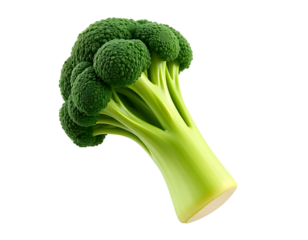 Fresh and Healthy Broccoli Head Isolated on a Transparent Background
