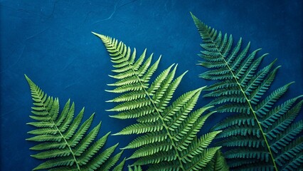 Fern leaves against a dark blue background, showcasing natural texture.
