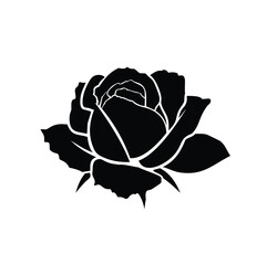 rose on a white background