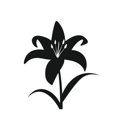 black and white lily