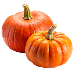 Fototapeta premium pumpkin isolated on white background