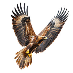 Golden Eagle Soaring Through the Sky Isolated on Transparent Background