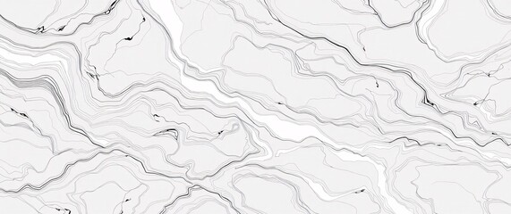 Minimalist Line Drawing of Marble Texture with Swirling Patterns