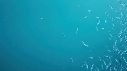 Obraz premium Underwater fish school ocean banner