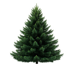 christmas fir tree isolated