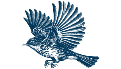 Restless flycatcher bird engraving vector illustration