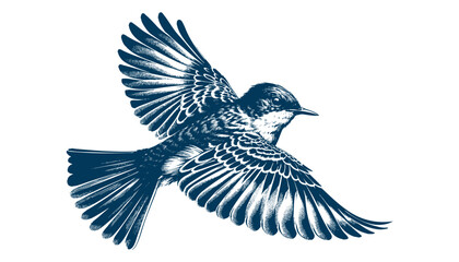 Naklejka premium Restless flycatcher bird engraving vector illustration