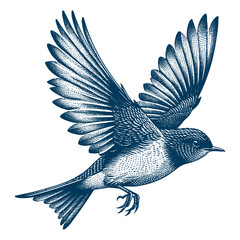 Restless flycatcher bird engraving vector illustration