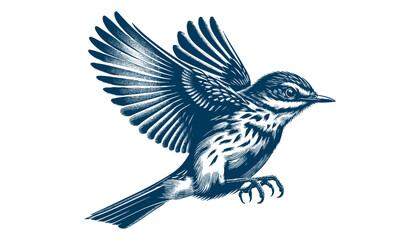 Restless flycatcher bird engraving vector illustration