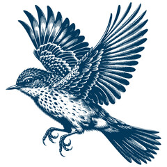 Restless flycatcher bird engraving vector illustration