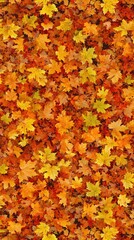Autumn leaves carpet, ground cover, colorful foliage, fall season, nature, possible use seasonal background, wallpaper