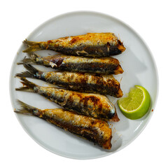 Fried atlantic sardine served on plate in restaurant. Isolated over white background