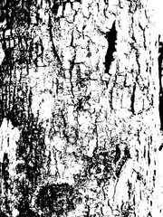 grunge background vector illustration