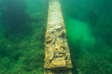 Submerged fence, relic of the past, rests serenely in emerald depths of an underwater realm once...