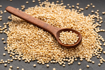Raw white quinoa seeds in a spoon - Chenopodium quinoa