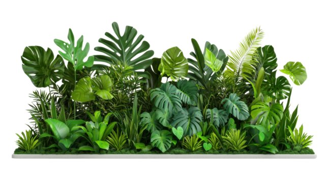 A captivating arrangement of diverse tropical plants and leaves creating a lush verdant and visually striking natural scene