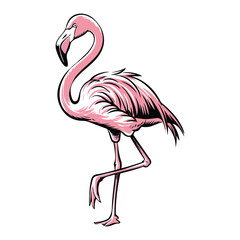 Beautiful Flamingo Illustration, Perfect for Exotic, Beach, and Tropical Themes