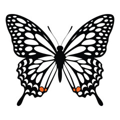 Stylized Butterfly Drawing, Detailed Insect Design