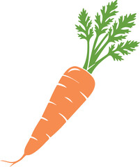 carrot with leaf  against white background