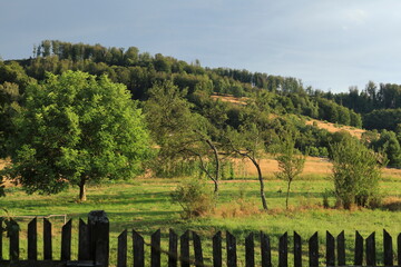 Scenic rural landscape with green meadow, wooden fence, and sunlit hillside. Peaceful countryside...