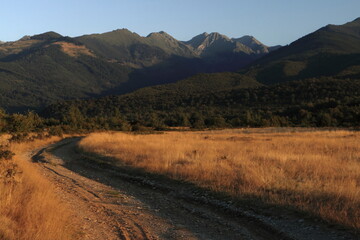 Mountain Landscape with Winding Dirt Road under Cloudy Sky