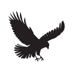 Flying Hawk Illustration with Spread Wings, Wildlife and Nature Art for Bird Lovers