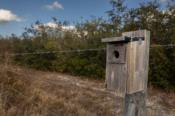 Wooden birdhouse on a wire fence, located in a Florida nature reserve.