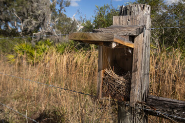Wooden birdhouse on a wire fence, located in a Florida nature reserve.