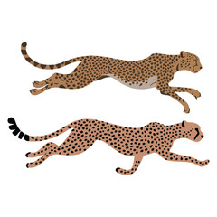 Running Cheetah Illustration, Fast Animal with Spots in Motion, Wildlife Vector Art