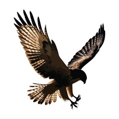 Detailed Hawk Illustration, Bird of Prey with Wings Outstretched, Digital Wildlife Art