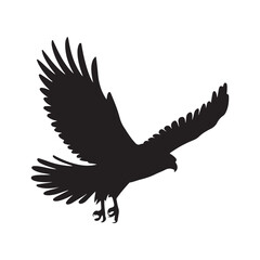 Eagle Silhouette in Flight, Powerful Bird of Prey, Digital Animal Illustration