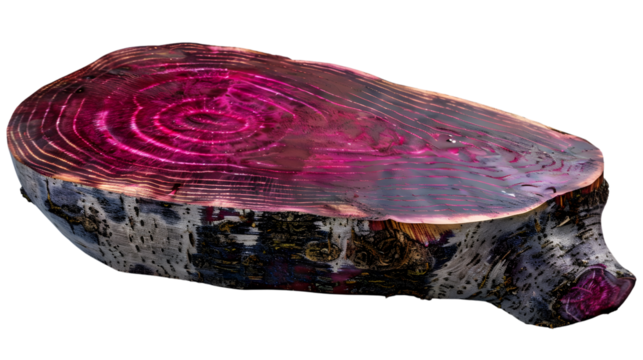 Crosssection of a vibrant purple root vegetable