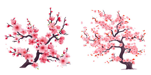 sakura flower vector art Japanese element