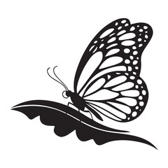 Butterfly on Flower, Beautiful Nature Illustration for Wildlife, Floral, and Garden Art