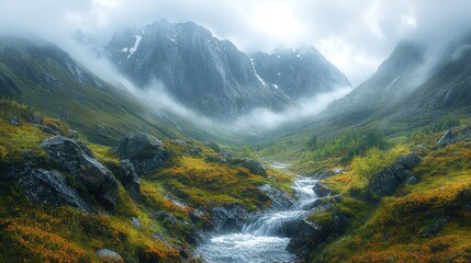 Fototapeta premium Misty mountain valley stream.